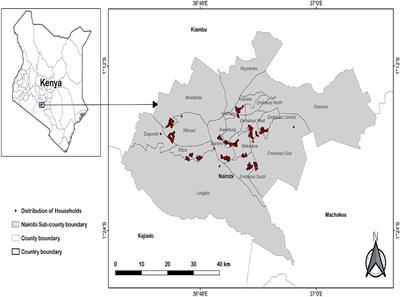 Consumer willingness to pay a premium for orange-fleshed sweet potato puree products: a gender-responsive evidence from Becker–DeGroot–Marschak experimental auction among low- and middle-income consumers in selected regions of Nairobi, Kenya